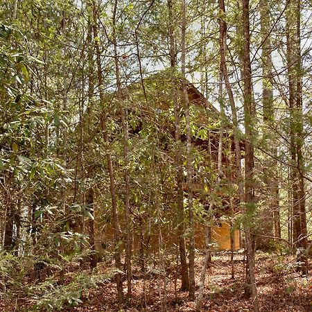 Mountain Hideaway #338 Villa Гетлинбург Екстериор снимка