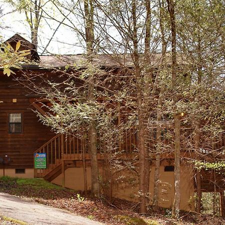 Mountain Hideaway #338 Villa Гетлинбург Екстериор снимка