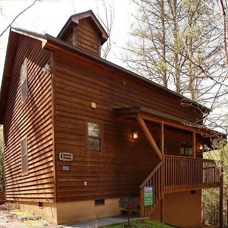 Mountain Hideaway #338 Villa Гетлинбург Екстериор снимка